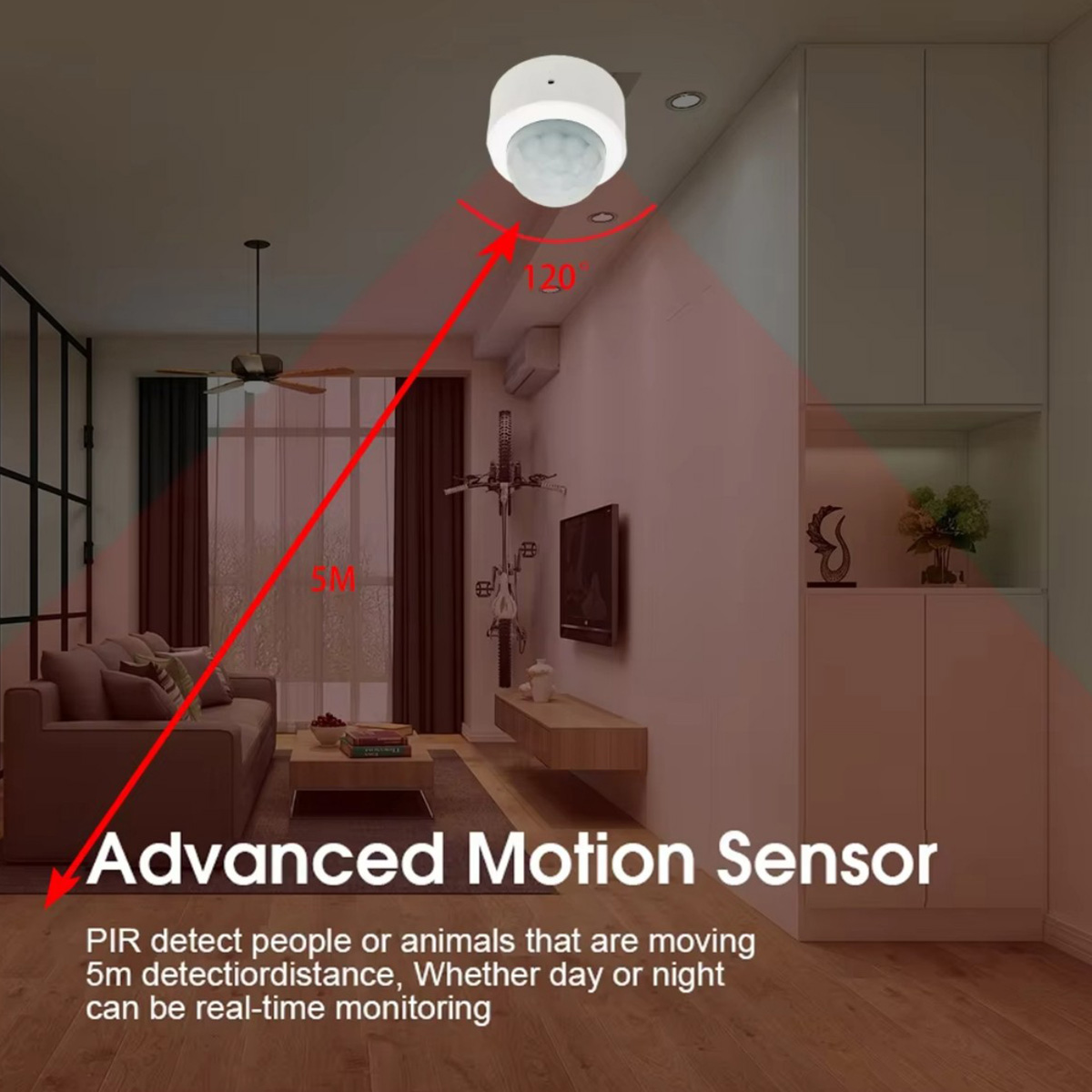 Zigbee PIR Motion Sensor Human - Home Security Technology recension och pris
