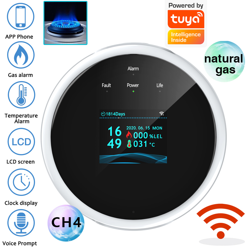 2.4G WiFi Gas Alarm Sensor Com - Home Security Technology recension och pris