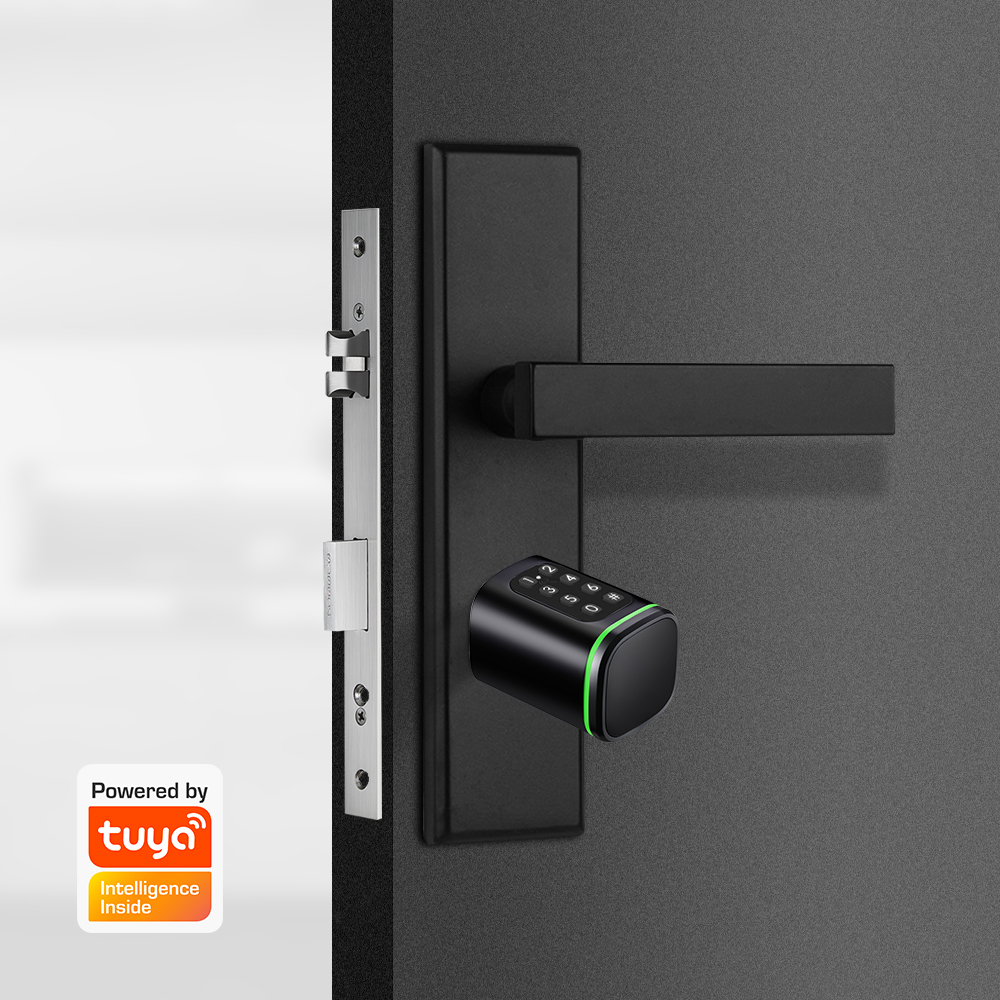 Smart Cylinder Lock Tuya 60-90 - Home Security Brand recension och pris